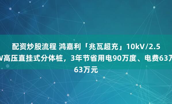 配资炒股流程 鸿嘉利「兆瓦超充」10kV/2.5MW高压直挂式分体桩,3年节省用电90万度、电费63万元